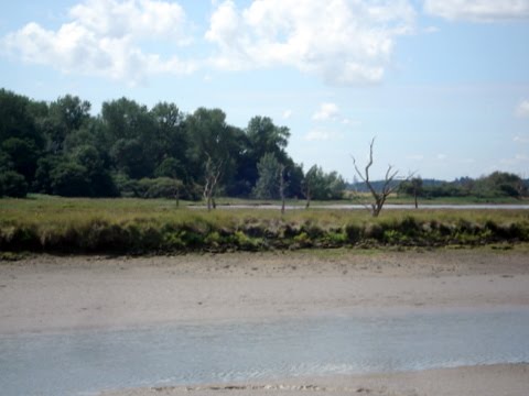 [DSC01560.JPG]