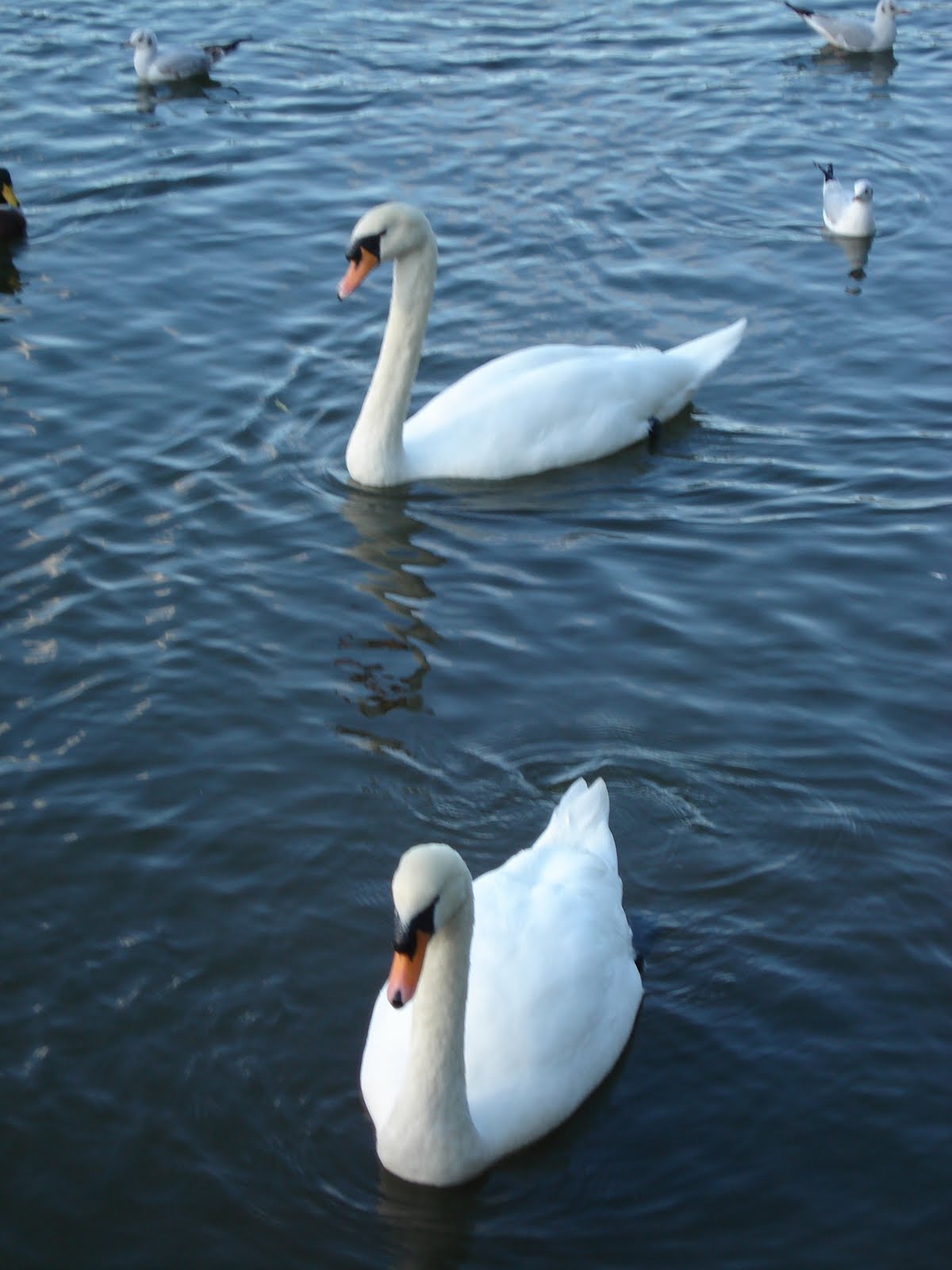 [DSC02200.JPG]