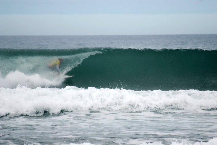 [DSC_0263.gif]