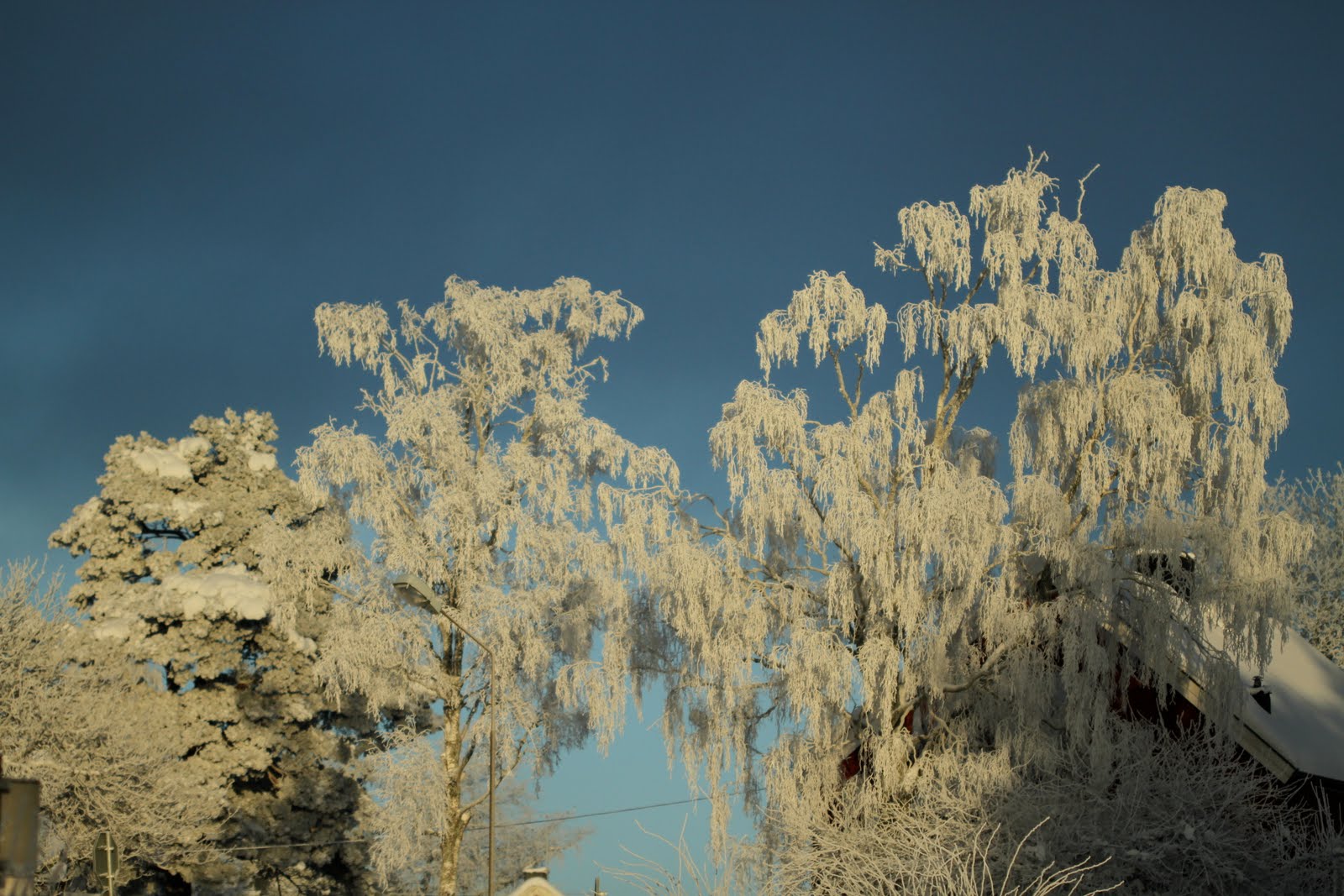 [IMG_7343.JPG]