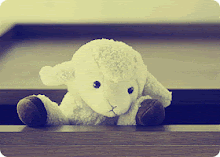 SHEEP ;SO CUTE.