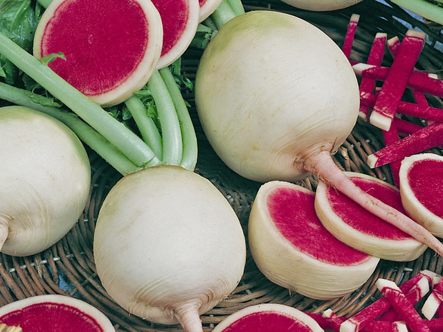 The Watermelon Radish