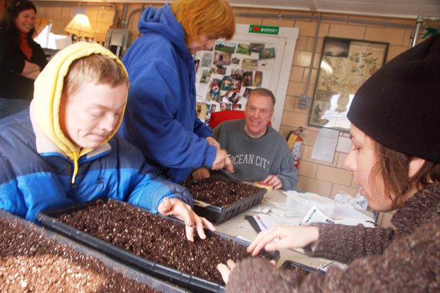 [Seedlings_2008_March.web.jpg]