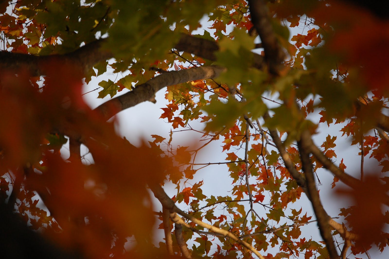 [DSC_0016.JPG]