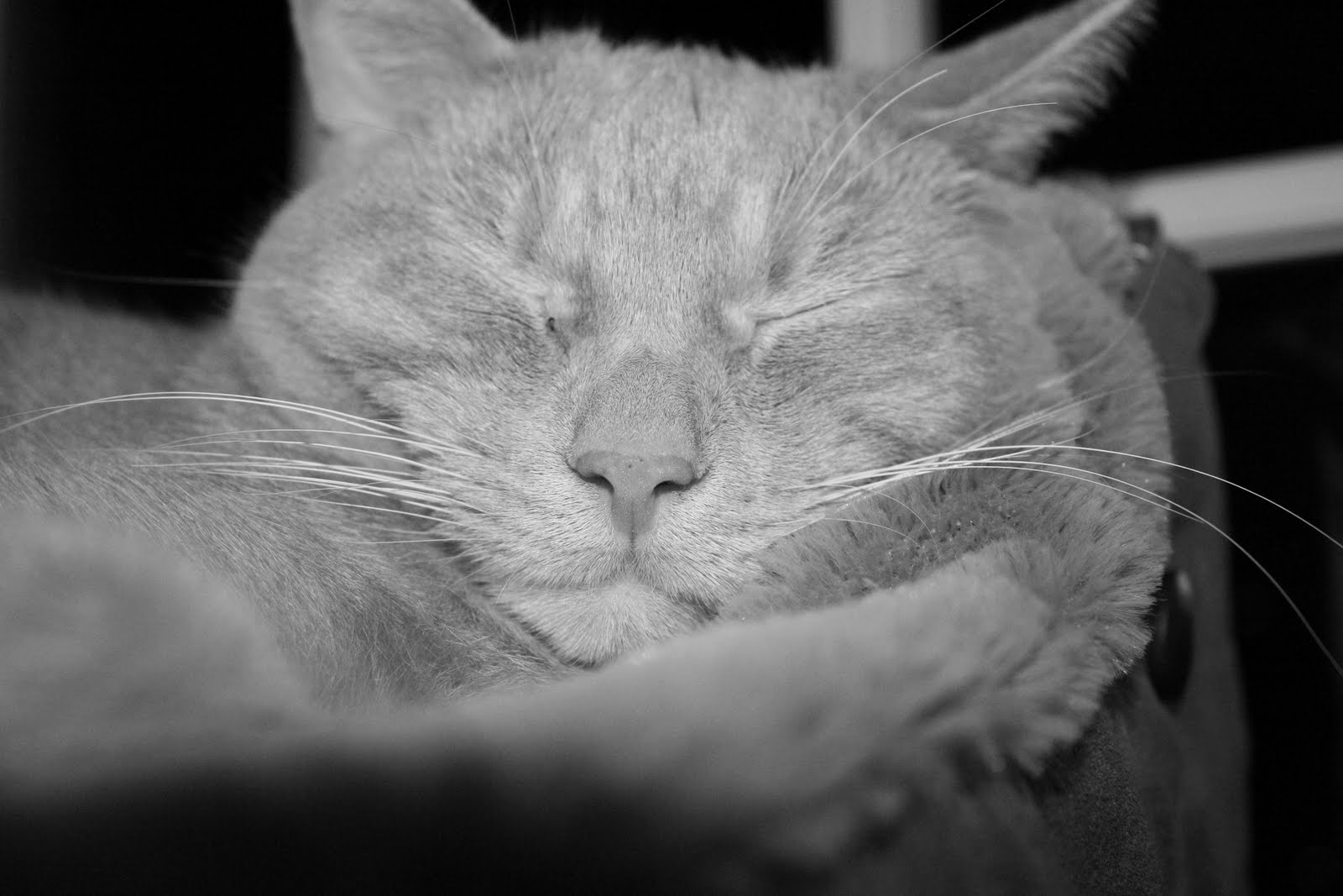 [Camera+Trials+128.JPG]