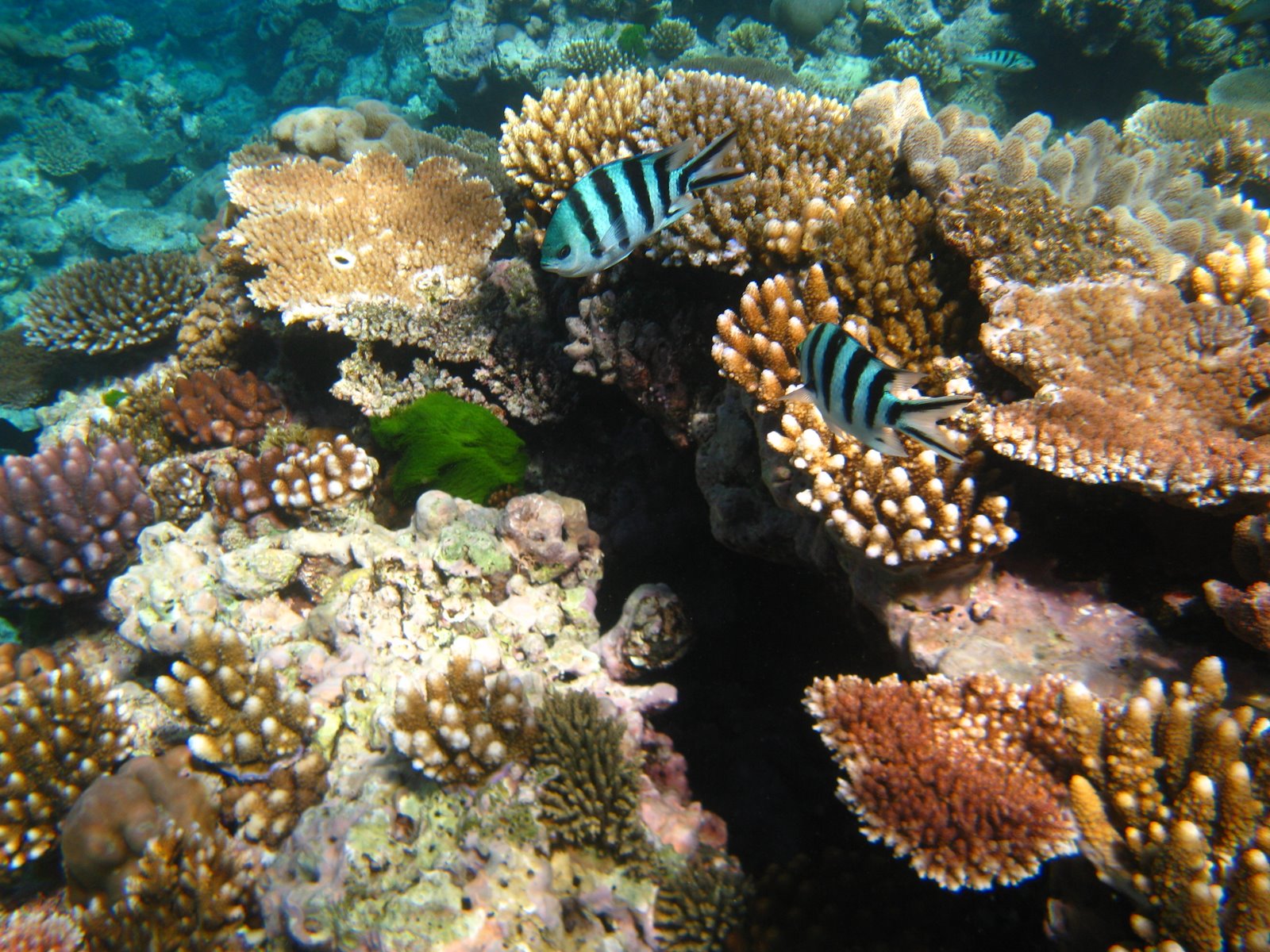 [IMG_7983.JPG]