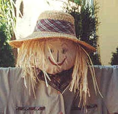 Please, Contain Your Excitement: Scarecrow Hair