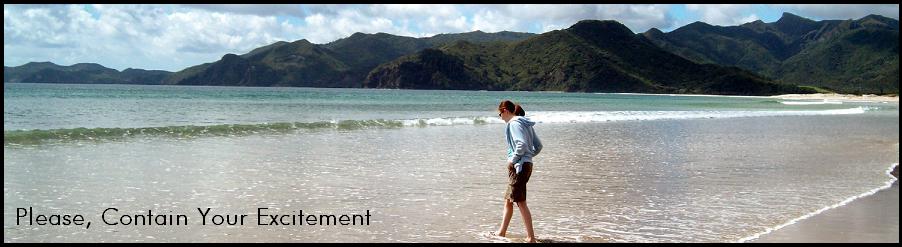 Please, Contain Your Excitement