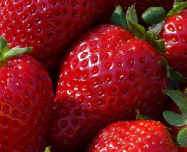 [strawberry_currant_recipe.jpg]