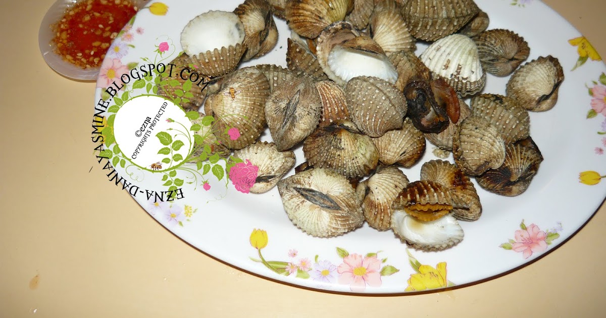 My Small World Kerang