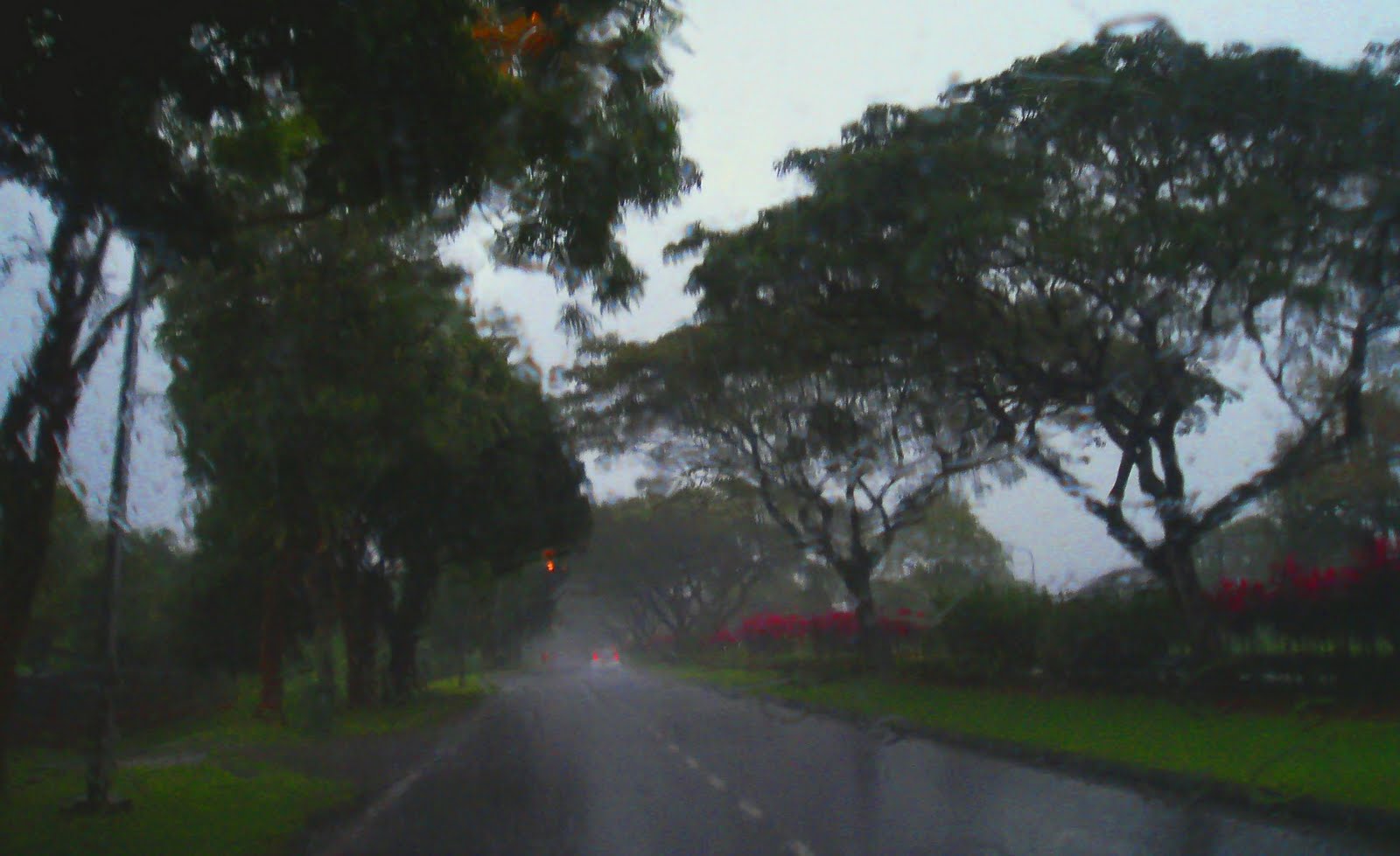 [18jan'10,heavy+rain+on+road.jpg]