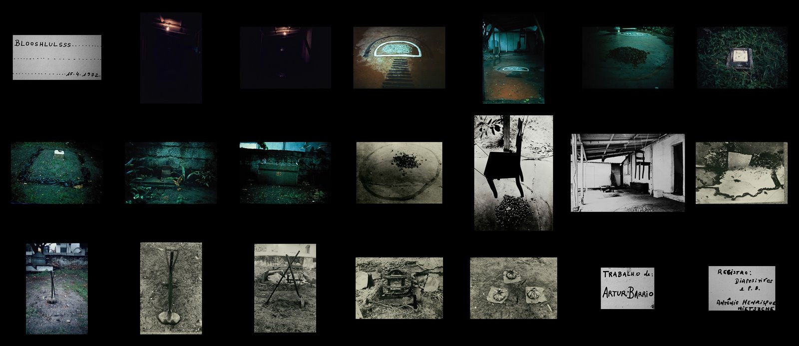 [BLOOSHLULSSS.......+(2).jpg]