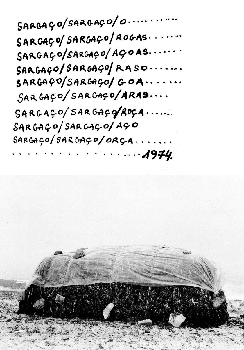 [SARGAÇO...1974+(1).jpg]