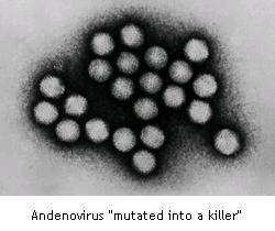[adenovirus.jpg]