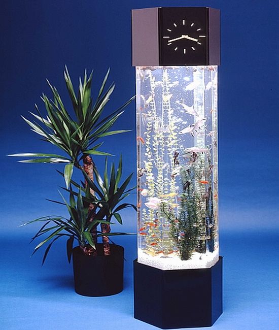 PictoVista: 15 Cool Fish Aquariums