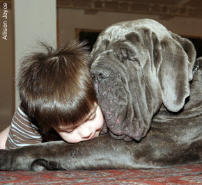Ugo the Farting Dog
