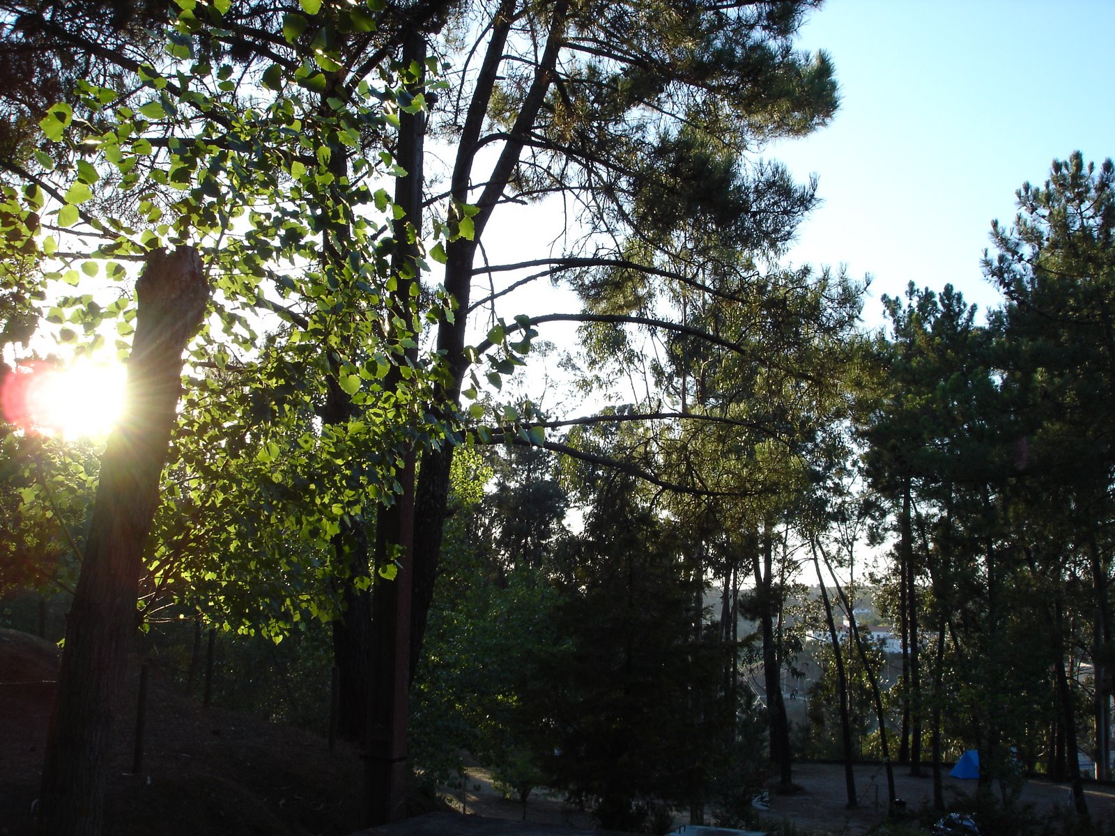 [DSC07339.JPG]