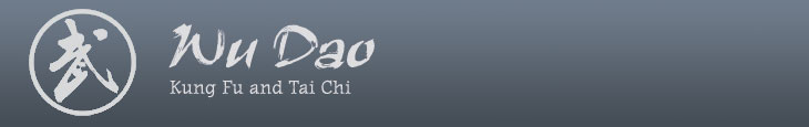Wu Dao Competition Blog
