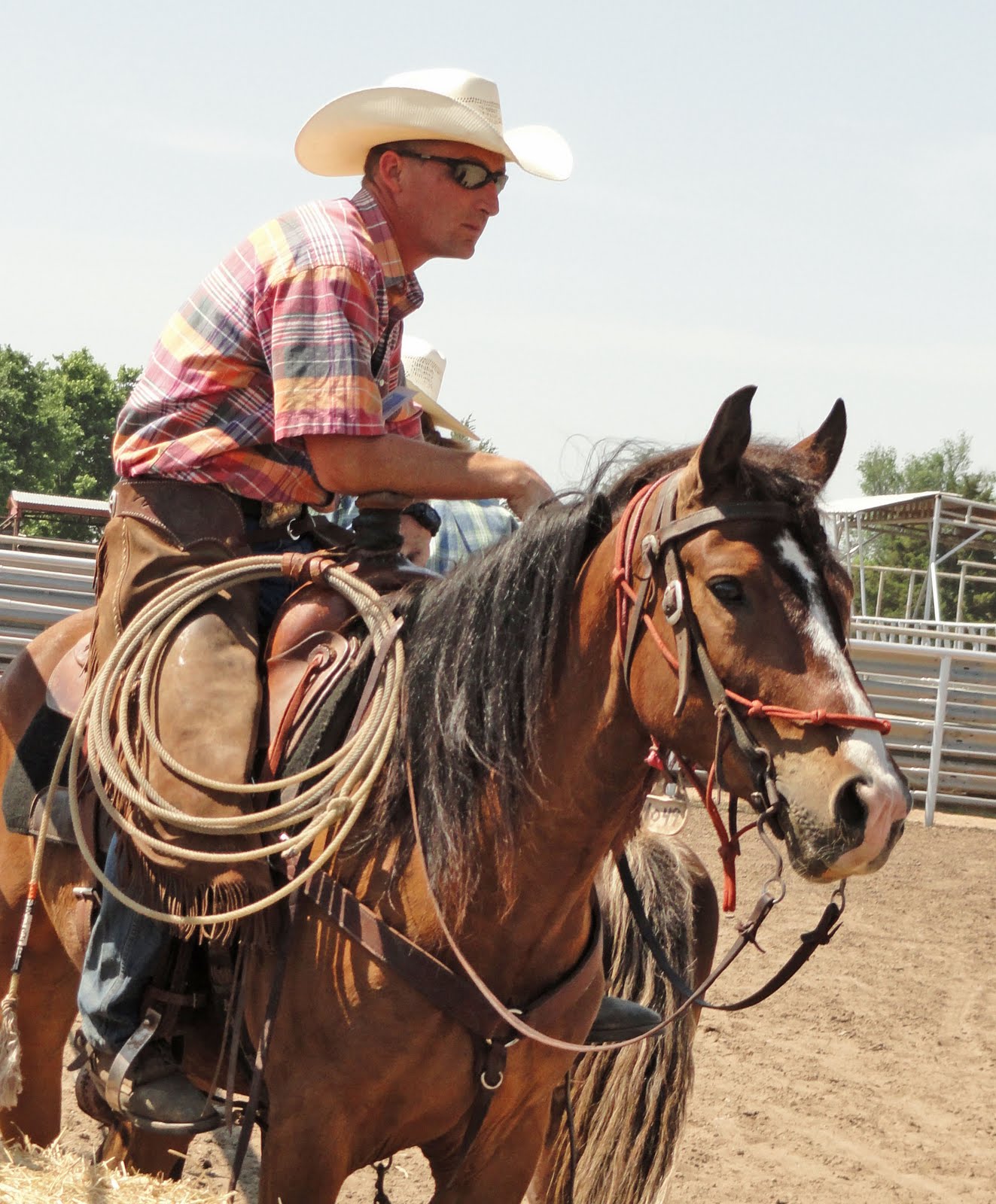 Mustang Dreams.... Hutchinson, KS Open House Part 2 Saving Horses