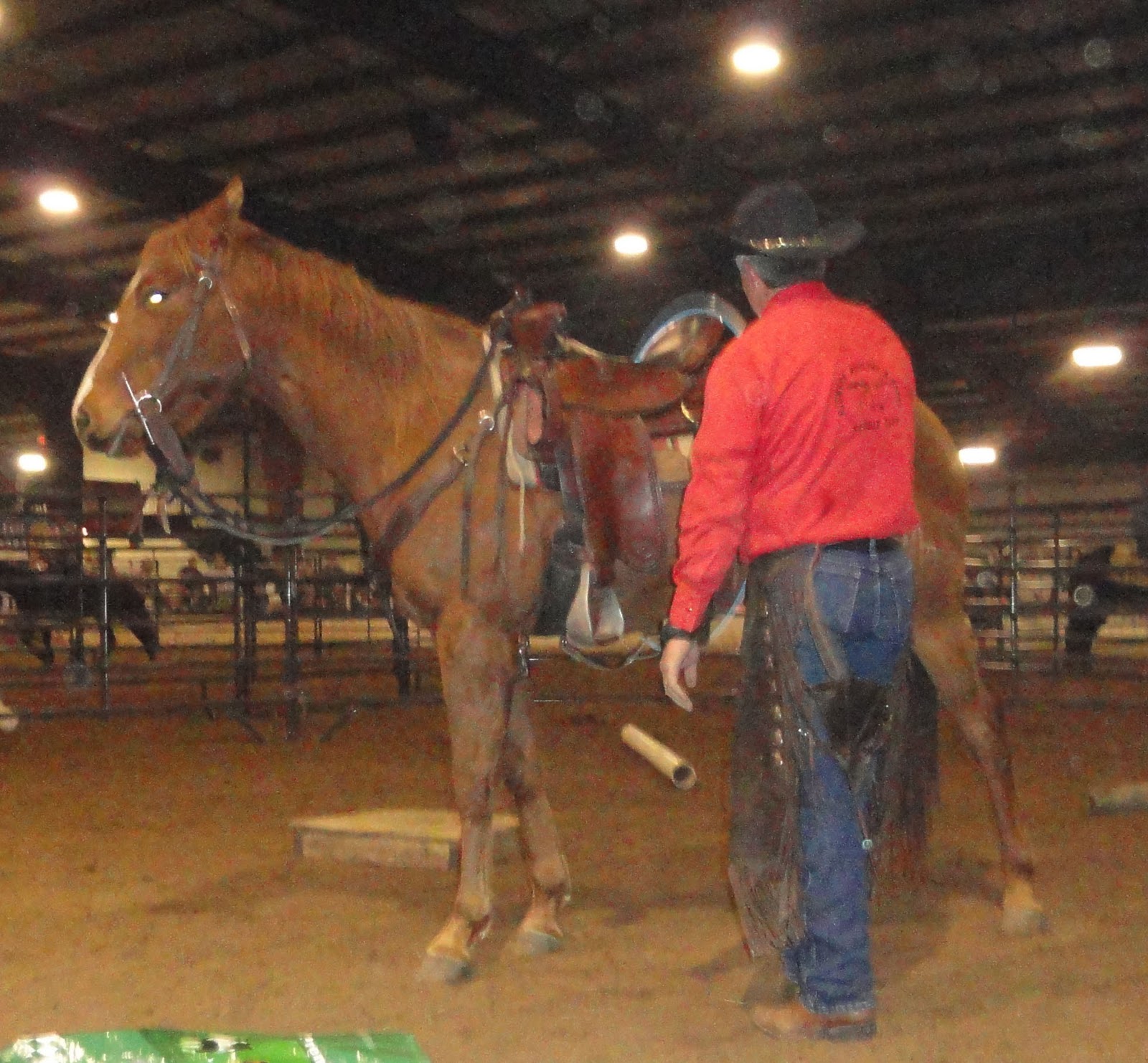 Mustang Dreams.... Missouri Equine Horse Celebration in Columbia, MO