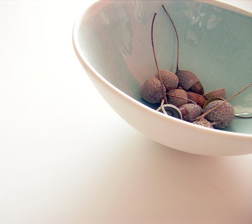 [acorns.jpg]