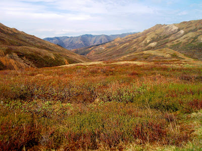 arid mountains