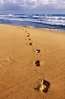 [footprints1.jpg]