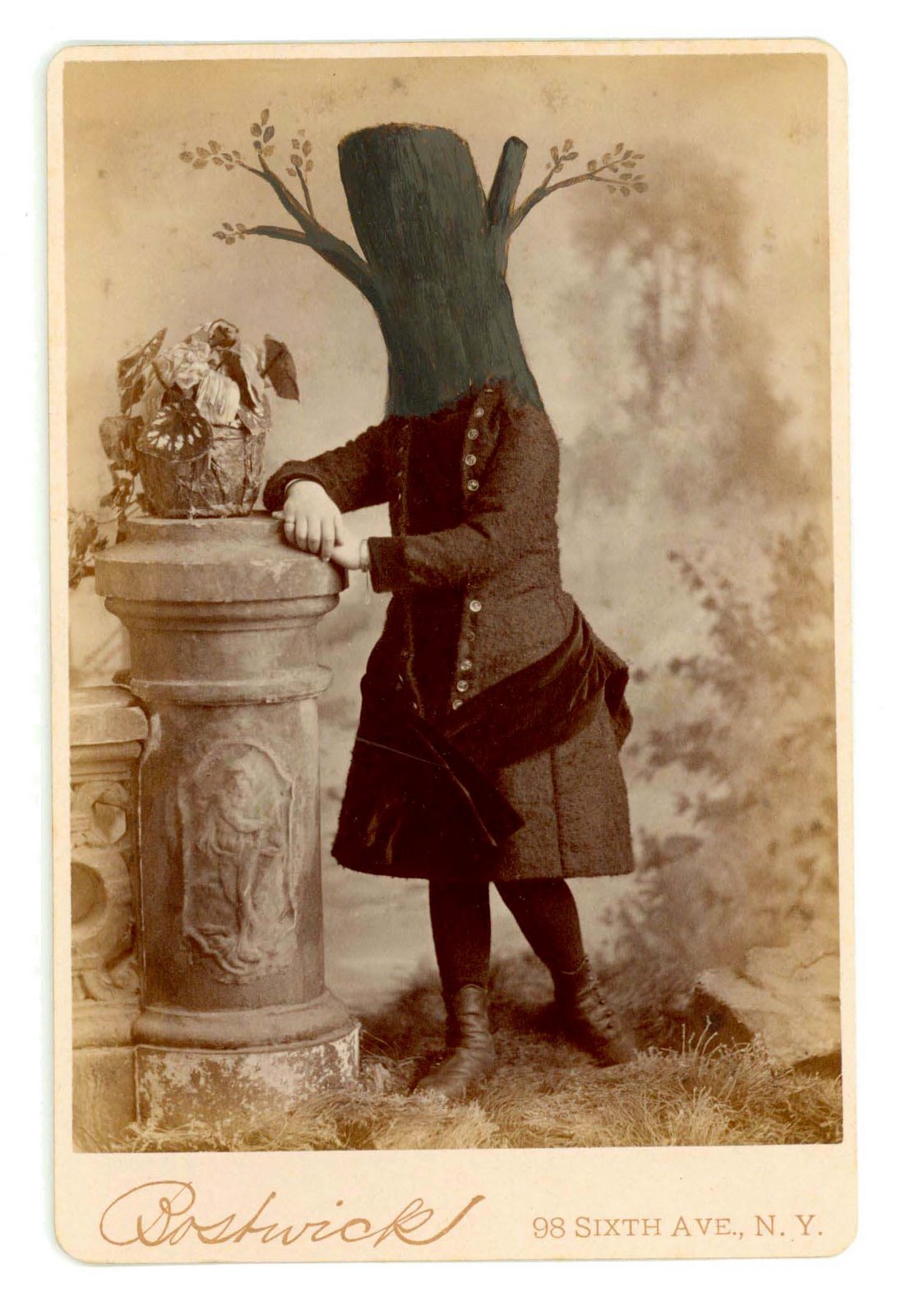 [blackall.tree-stump.jpg]