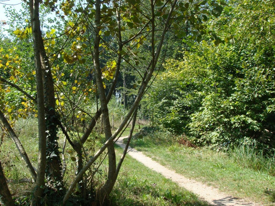 [DSC07984.JPG]