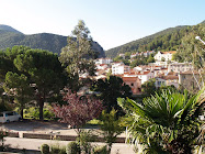 Panorámica