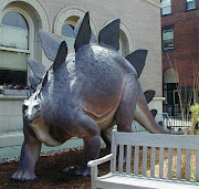 Stegosaurus