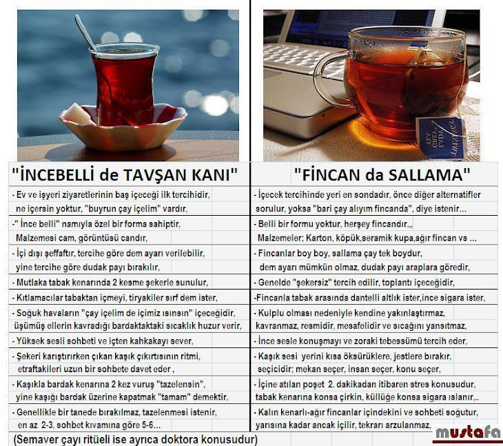 KARŞILAŞTIRMALAR