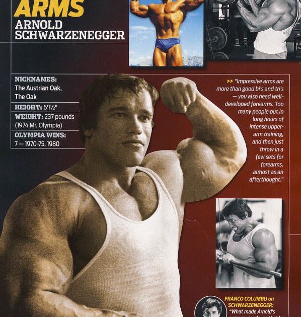 Arms Training With Arnold Schwarzenegger Muscle Base New
