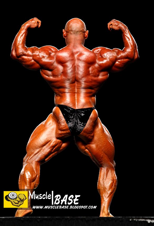 Branch Warren Back