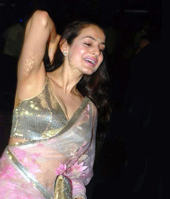 Bollywood actress Amisha Patel spicy stills hot stills armpits navels saree stills hq wallpaper gallery Photoshoot images