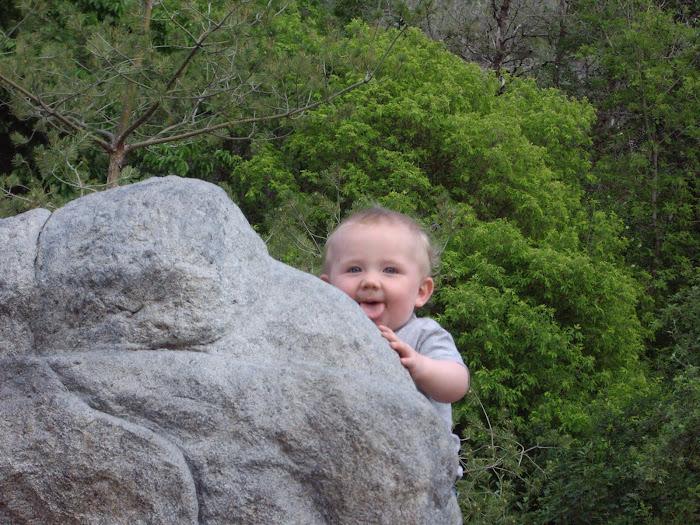 Rock Climber