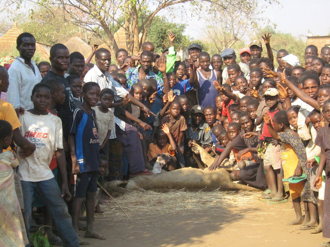 Mushilila Community and the Man-eating Lion