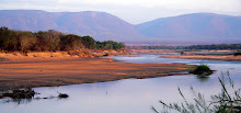 Safari in the Lower Luangwa Valley