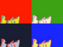 My Photo
