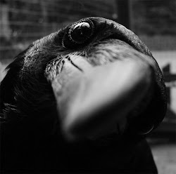 Nevermore...