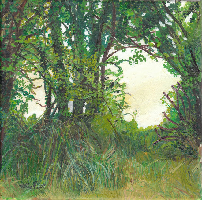 Sous bois avec digital pourpre