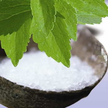 [stevia.jpg]