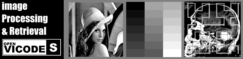 Image processing and Image Retrieval Systems