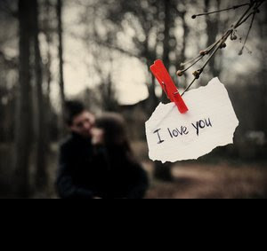 ilu.bmp (300×283)