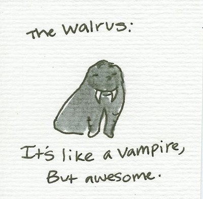 [walrus.jpg]