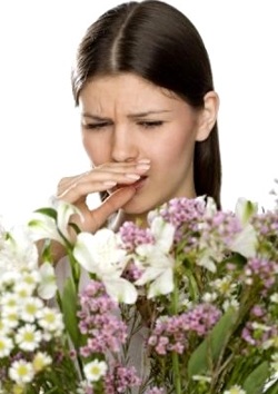 [allergy1.jpg]