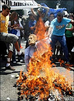 Burning Bush in Brazil