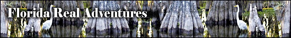 Florida Real Adventures