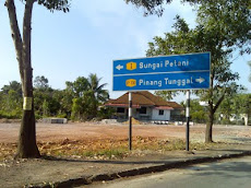 Pinang Tunggal