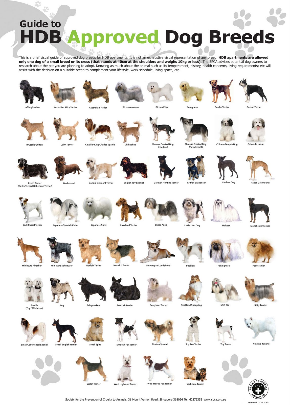[SPCAHDBDogList.jpg]
